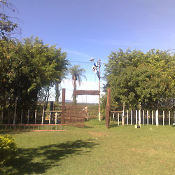 Agro Ganadera Kora Yvate